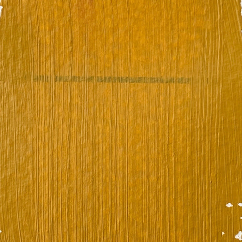 Yellow Ochre Artist Acrylic