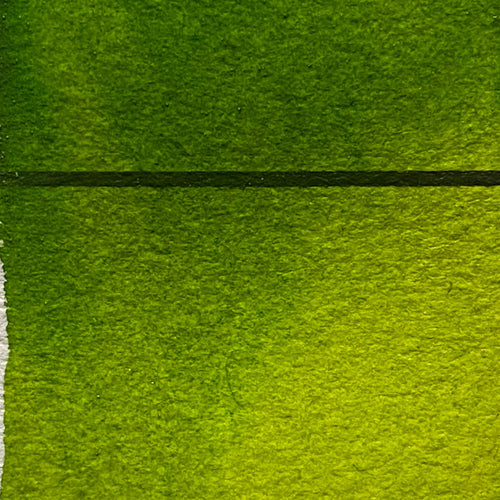 Sap Green