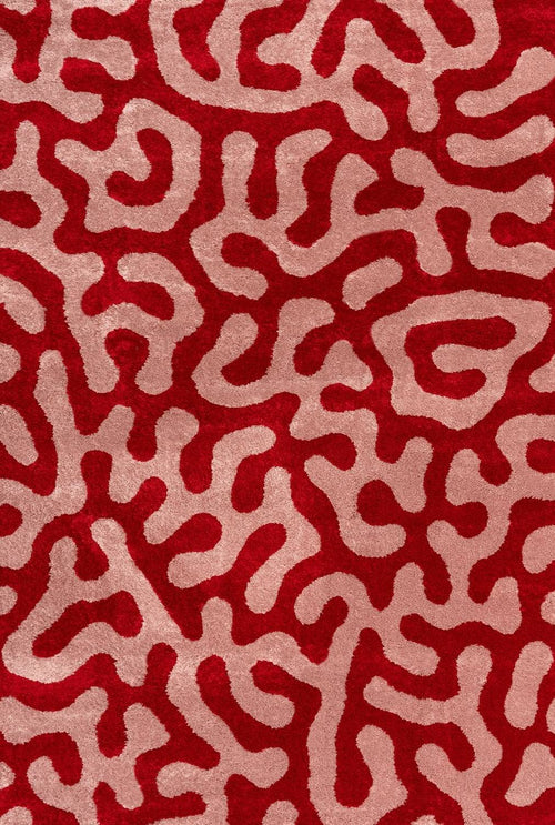 Joli Doodle Red & Pink Rug