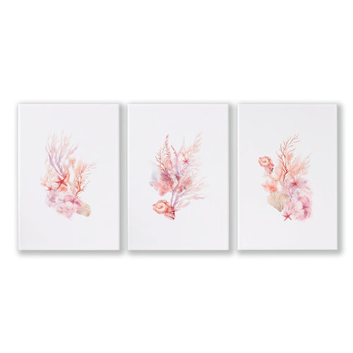 Large Coastal Wall Art | Set of 3 Seashells Wall art Prints