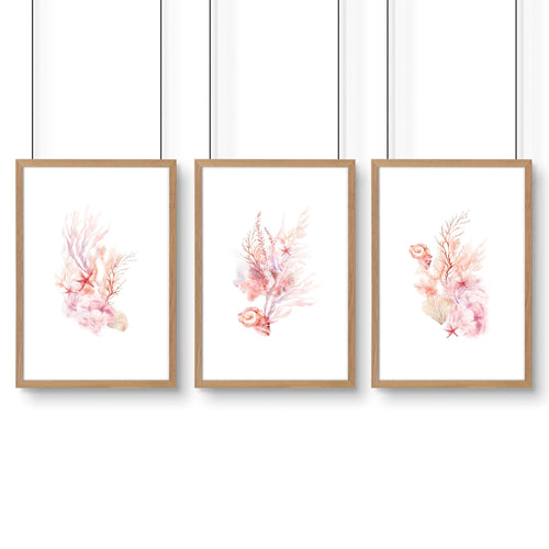 Large Paintings For Wall | Set of 3 Seashells Wall art Prints