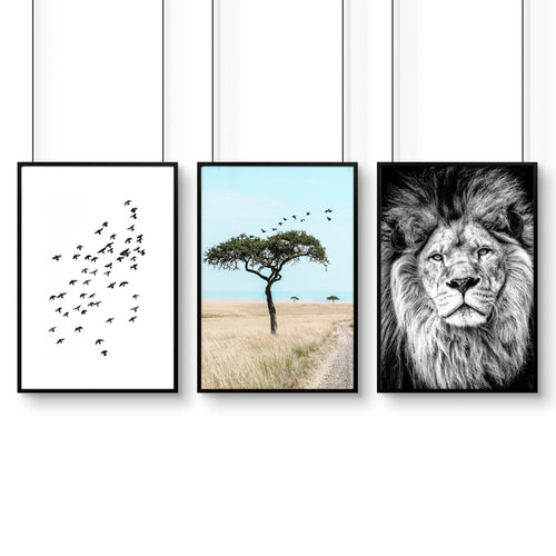 Living Room Wall Art Canvas | Set of 3 African Wildlife Wall art Prints