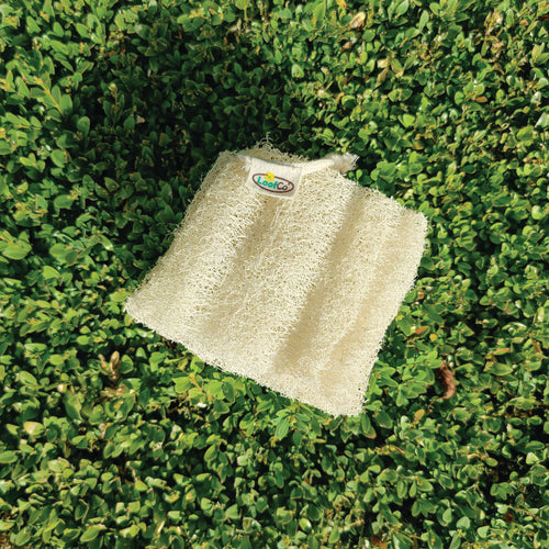 LoofCo Root Vegetable Scrubber – Natural Loofah Veggie Cleaner with Cotton Loop