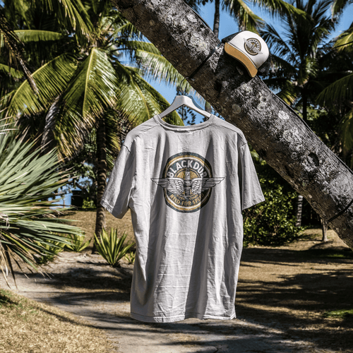 Stone Circle Wings Tee
