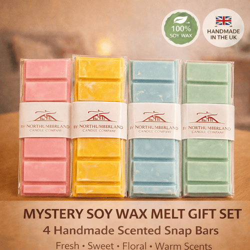 Mystery Wax Melt Bundle with Botanical Burner – 5 Piece Set
