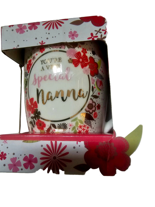 you re a very special nanna boxed mug