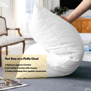 OLIVIA ROCCO 2 Pack Egyptian Cotton Blend Pillows Hotel Quality Soft Medium Support