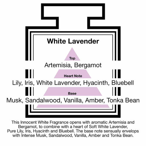 Pairfum London Luxury Reed Diffuser ‘eau de parfum’ 100 ml White Lavender - 10 Black Reeds