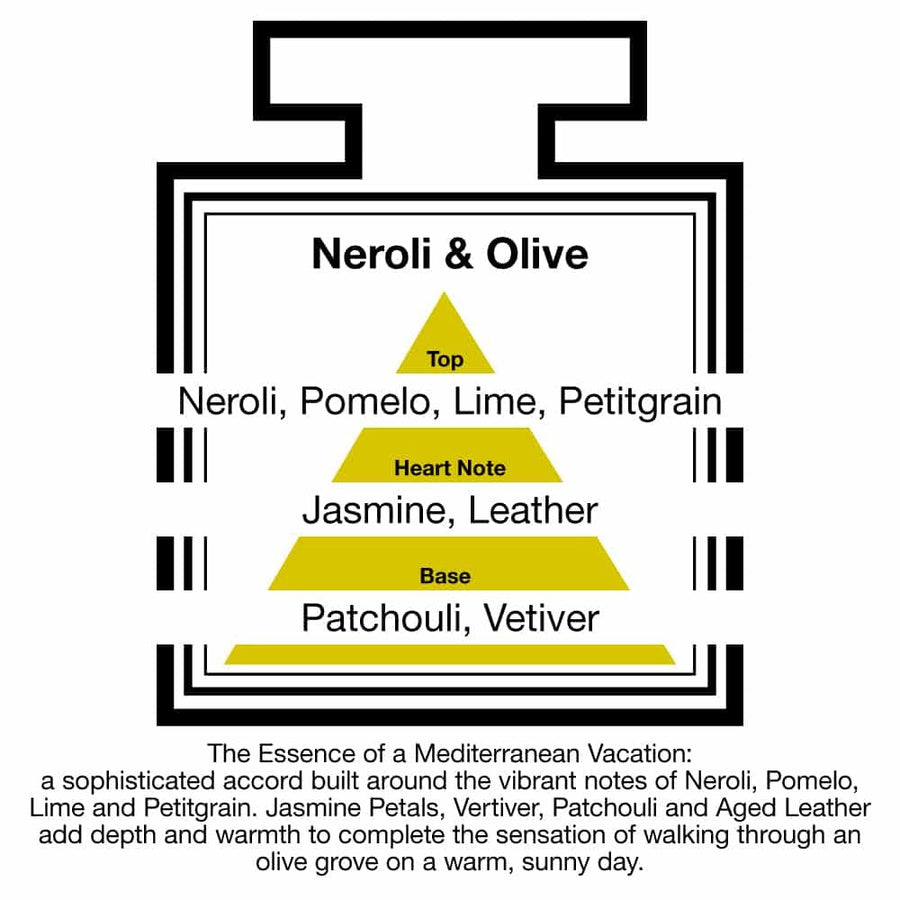 Pairfum London Luxury Reed Diffuser Classic Neroli & Olive 100ml +10 Reeds