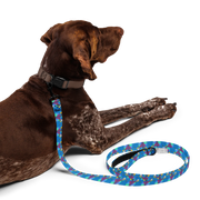 First Home Pet leash