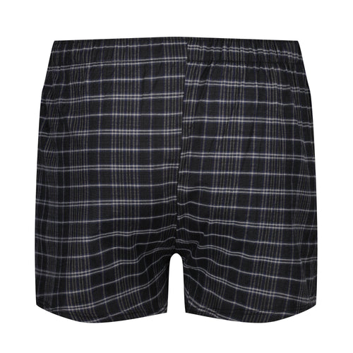 Payden 3 Pack Check Boxer Shorts