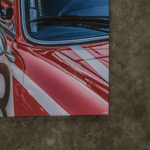 'Get My Best Side' Wall Art - Canvas 1.0