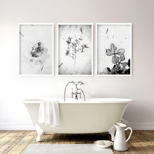 Bathroom Wall Pictures | Set of 3 Botanical Prints