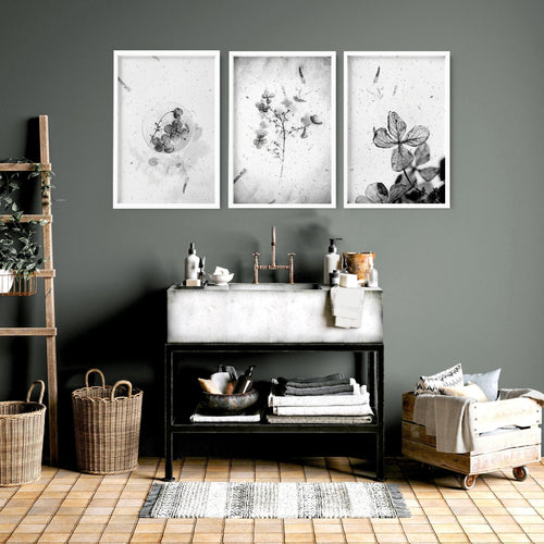 Bathroom Wall Pictures | Set of 3 Botanical Prints