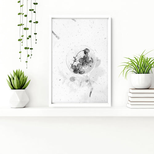 Bathroom Wall Pictures | Set of 3 Botanical Prints