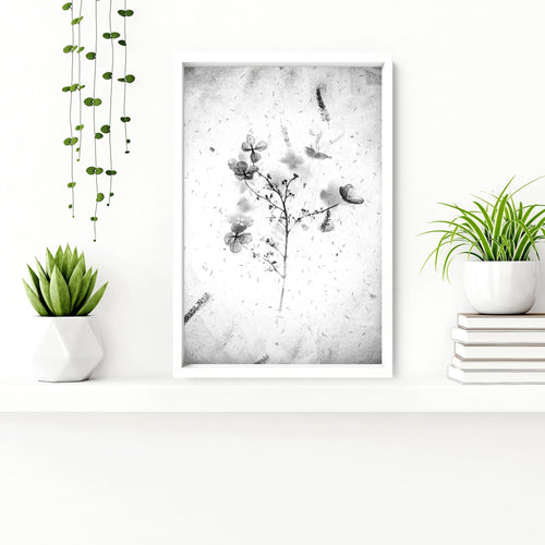 Bathroom Wall Pictures | Set of 3 Botanical Prints