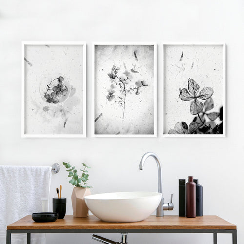 Bathroom Wall Pictures | Set of 3 Botanical Prints