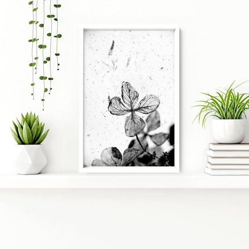 Bathroom Wall Pictures | Set of 3 Botanical Prints