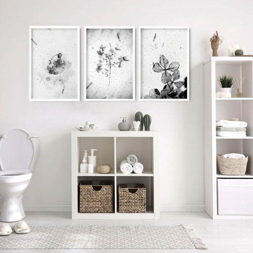 Bathroom Wall Pictures | Set of 3 Botanical Prints