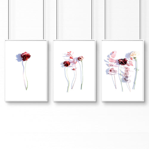 Art flowers | set of 3 framed wall art