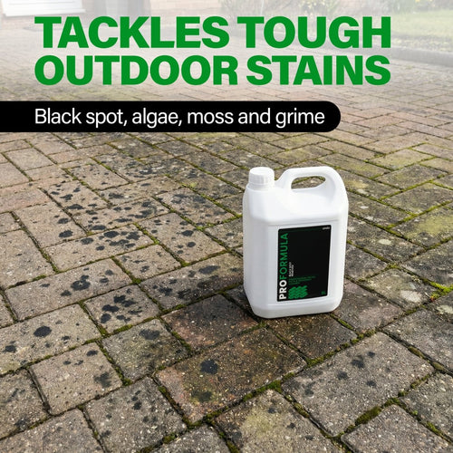 Proformula - Black Spot Remover | Patio, Path & Driveway Cleaner (5L)