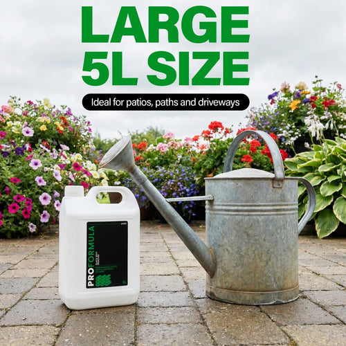 Proformula - Black Spot Remover | Patio, Path & Driveway Cleaner (5L)