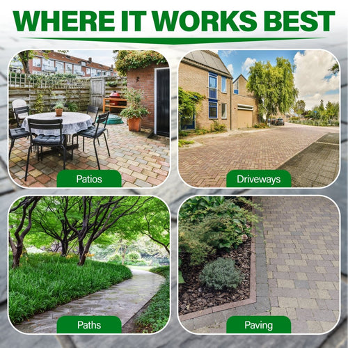 Proformula - Black Spot Remover | Patio, Path & Driveway Cleaner (5L)