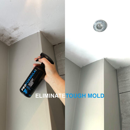 Proformula - Mould Remover Gel Spray