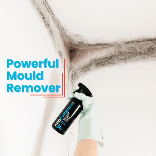 Proformula - Mould Remover Gel Spray