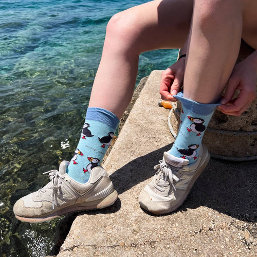 The Blue Puffin 2 Pack Bamboo Sock Set