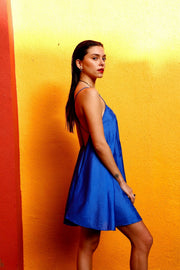 RAINA Silk Dress