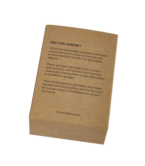 Biodegradable Kitchen Sponges - 2 Pack