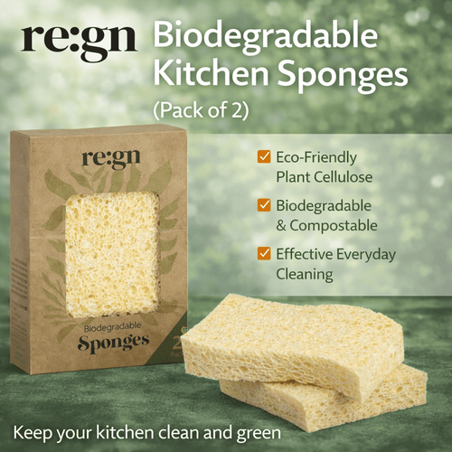 Biodegradable Kitchen Sponges - 2 Pack
