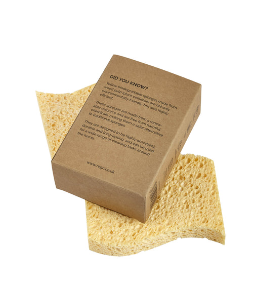 Biodegradable Kitchen Sponges - 2 Pack