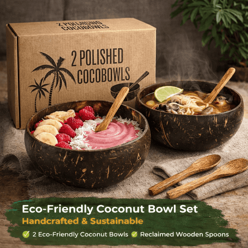 Coconut Bowl & Spoon Set of 2