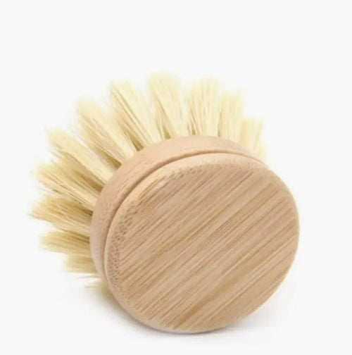 Jungle Culture Plastic Free Dish Brush head Replacement
