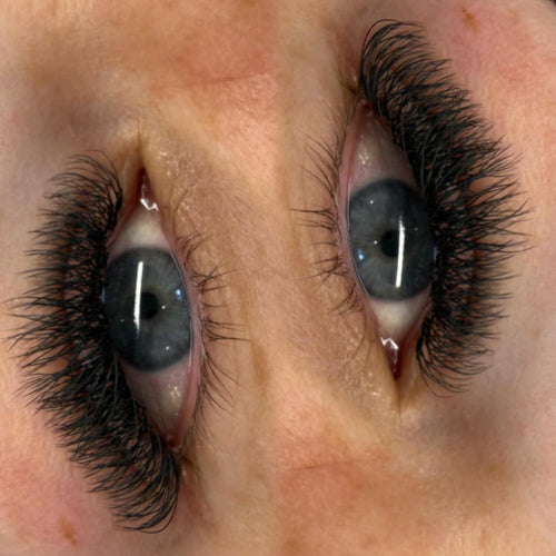 Sample W Lash Tray