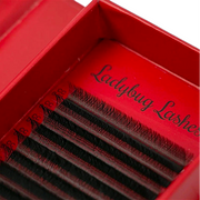 YY Single Length 16 Row Tray
