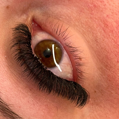8D Clover Lash 16 Row Mixed Tray