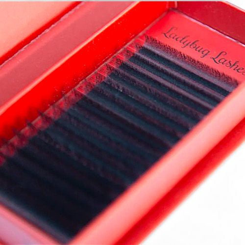 4D Clover Lash Single Length 16 Row Tray
