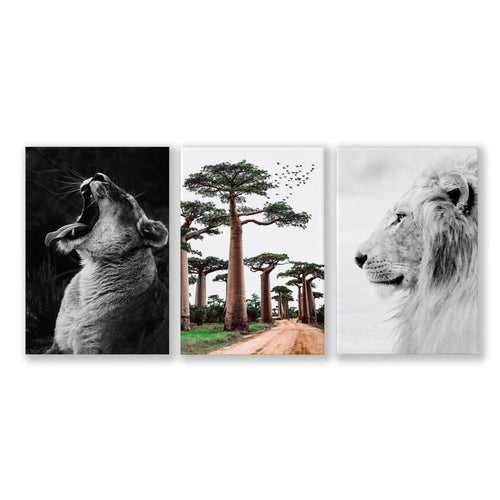 Safari Bedrooms | Set of 3 African Wildlife Wall art Prints