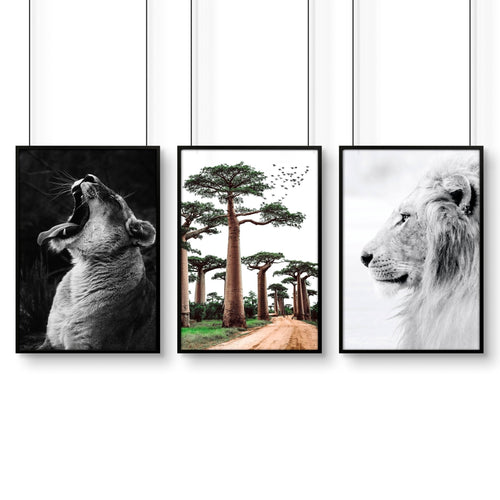 Safari Bedrooms | Set of 3 African Wildlife Wall art Prints