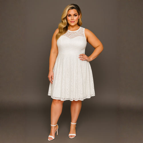 Sleeveless Lace Sweetheart Neckline Skater Dress