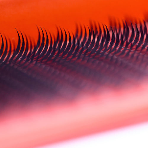 Anime Feather Lash 16 Row Tray