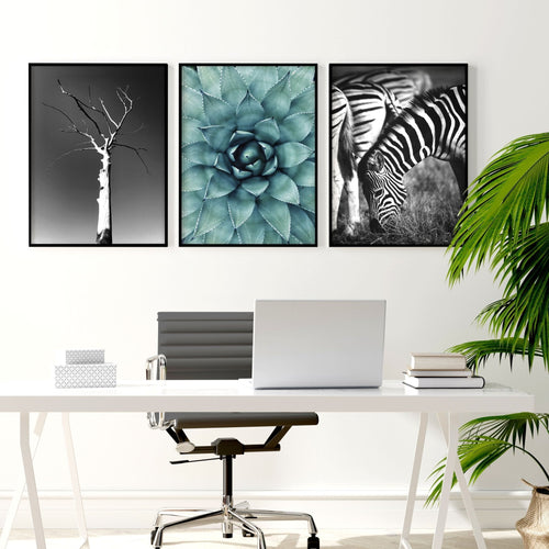 Soothing Wall Art | Set of 3 African Wildlife Wall art Prints