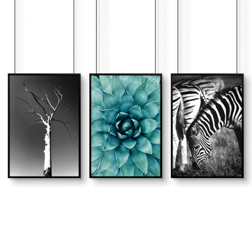 Soothing Wall Art | Set of 3 African Wildlife Wall art Prints