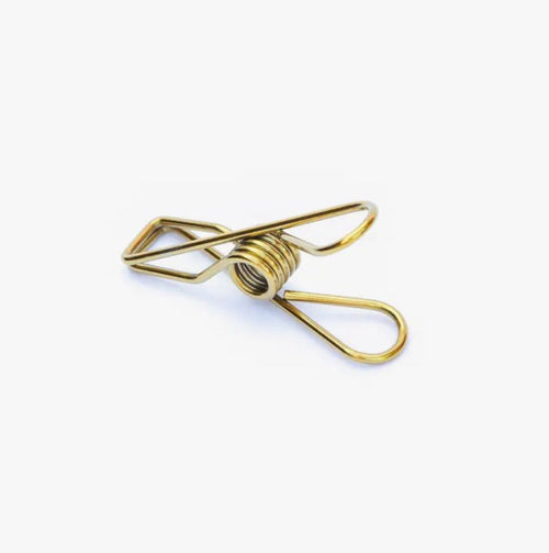 Stainless Steel Clothes Pegs Gold x 20
