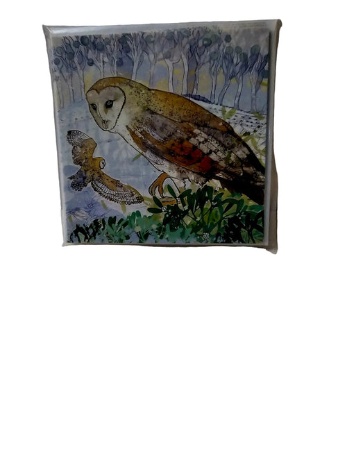 winter owl    by shelley  perkins      6  pack cards