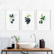 Decoration for bathroom walls | Set of 3 Tropical wall art