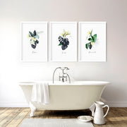 Decoration for bathroom walls | Set of 3 Tropical wall art